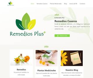 proyecto-diseño-web.remediosplus