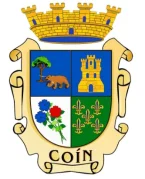 diseño web en coin